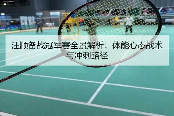 汪顺备战冠军赛全景解析：体能心态战术与冲刺路径