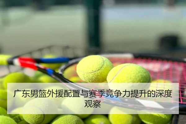 广东男篮外援配置与赛季竞争力提升的深度观察