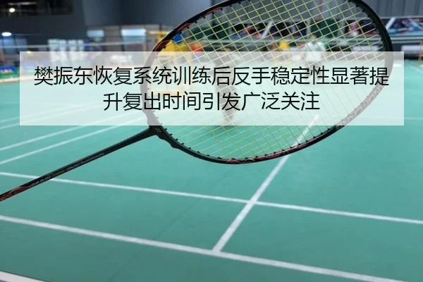 樊振东恢复系统训练后反手稳定性显著提升复出时间引发广泛关注