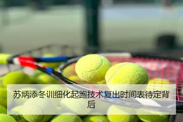 苏炳添冬训细化起跑技术复出时间表待定背后