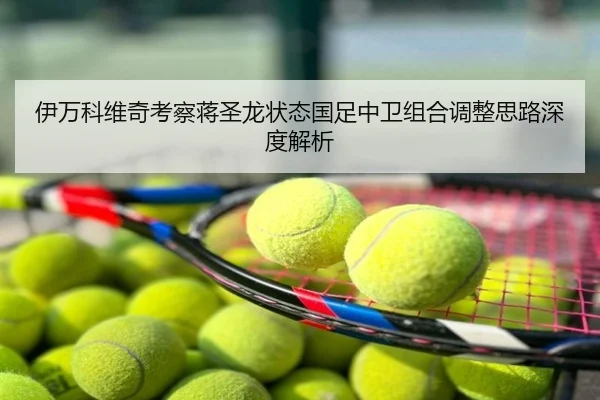 伊万科维奇考察蒋圣龙状态国足中卫组合调整思路深度解析